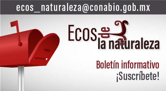 Mexican Biodiversity National Commission For The Knowledge