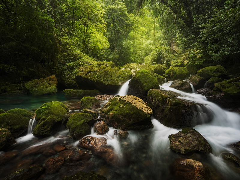 Biodiversidad Mexicana Comisión Nacional para el