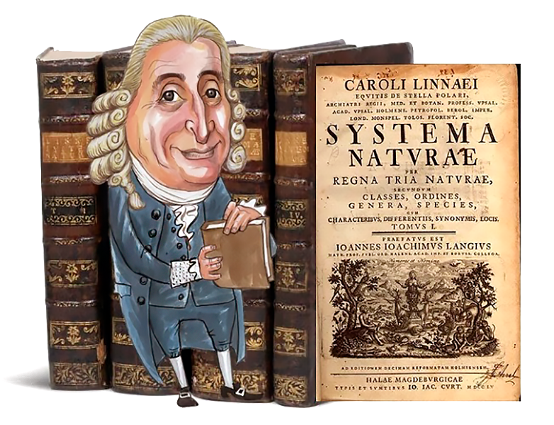 Carl Von Linné