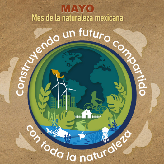 Mayo, mes de la naturaleza mexicana 2022