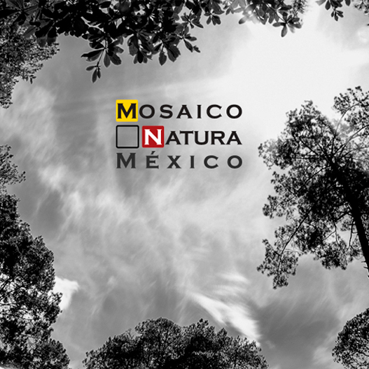 Eventos de participación de la sociedad | Biodiversidad Mexicana