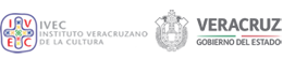 logotipo gobierno de Veracruz