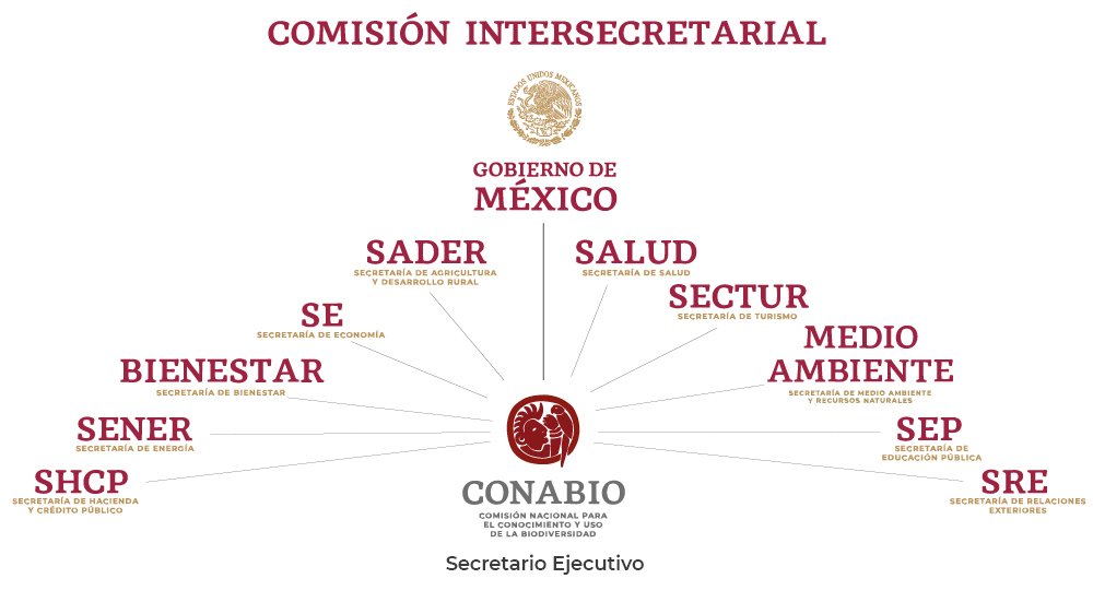 Comisión intersecretarial
