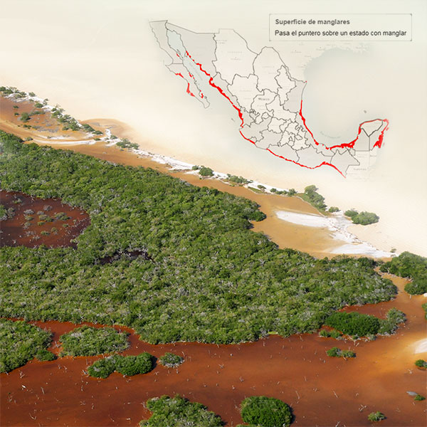 Sistema de monitoreo de manglares de México