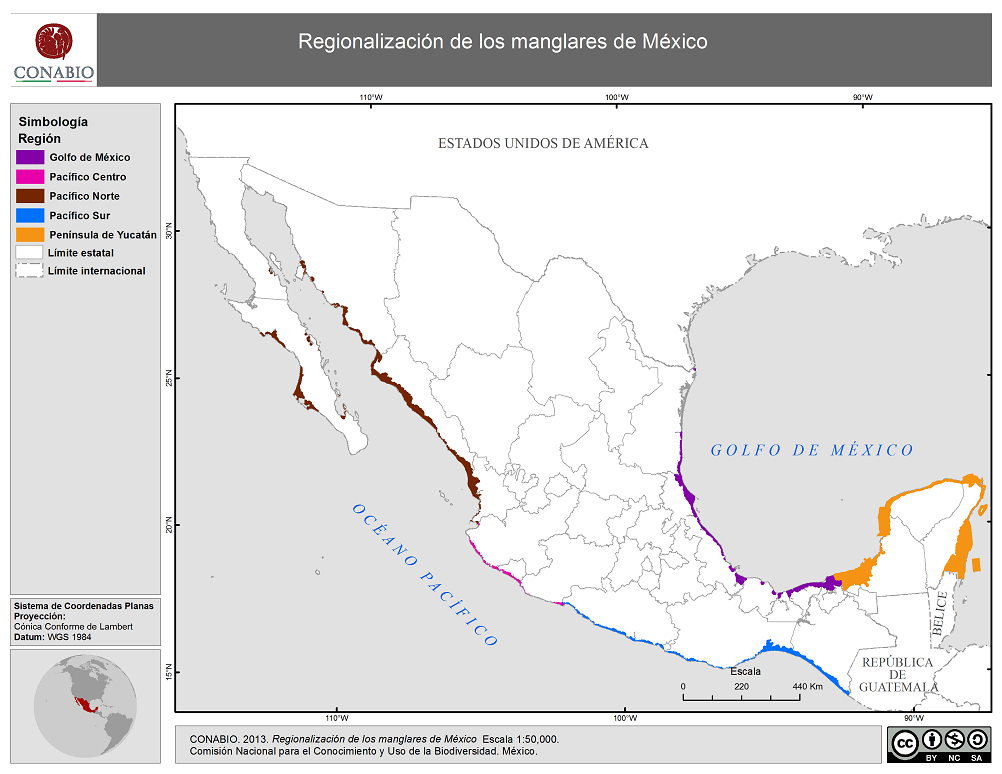 Regionalización de los manglares de México