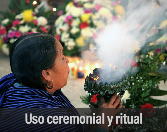Uso ceremonial y ritual