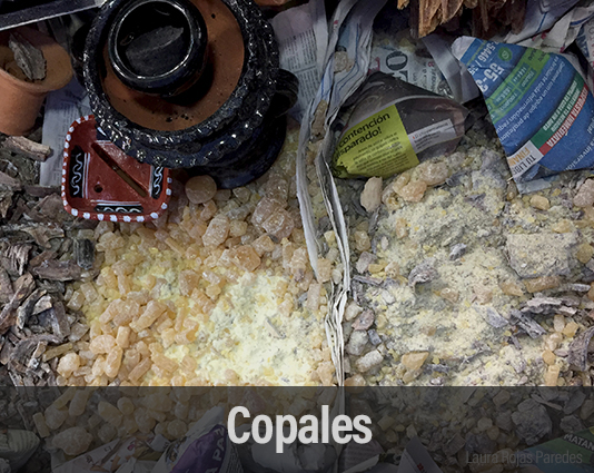 Copales