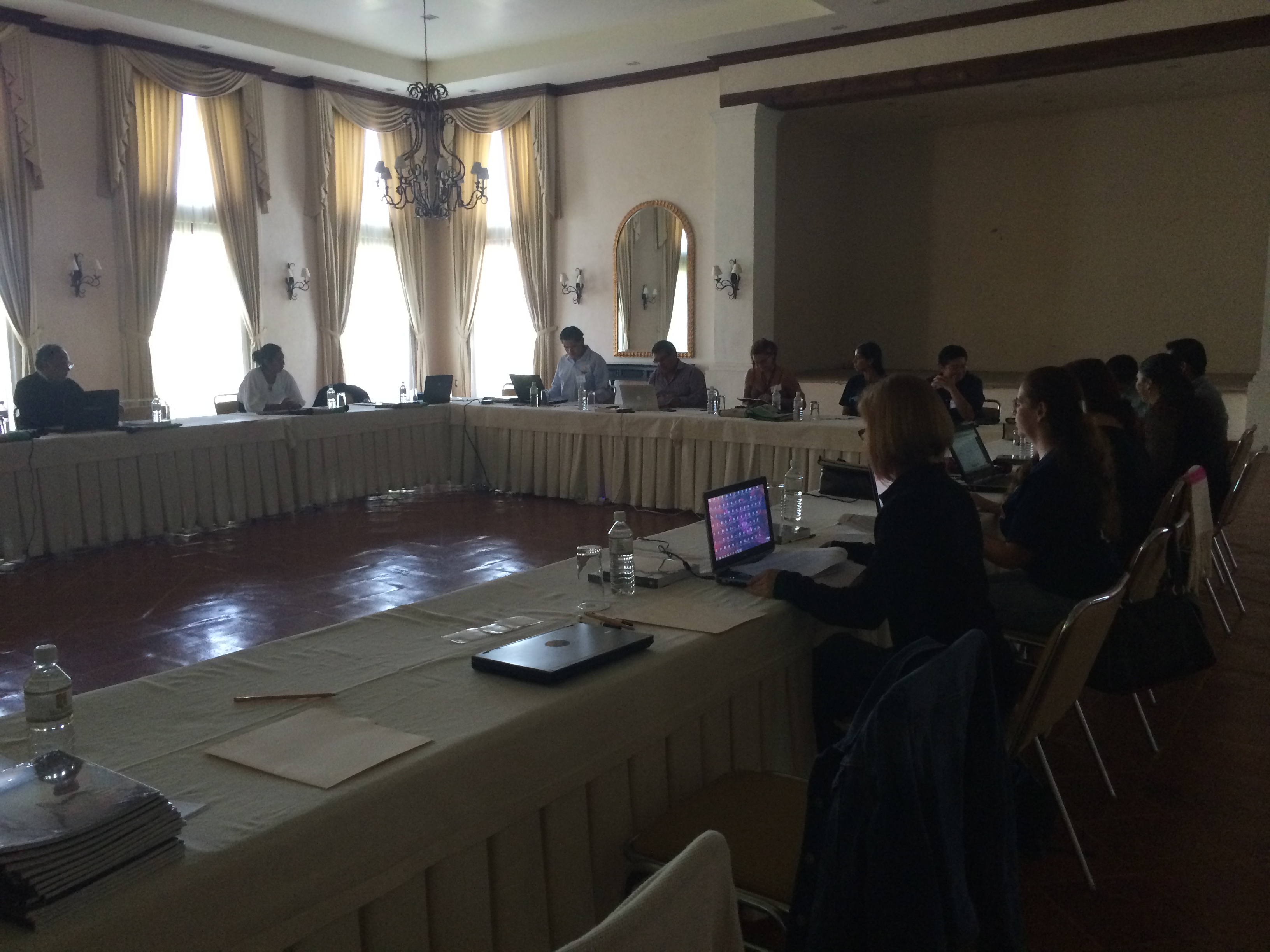 Primera Reunión del Comité Coordinador de Implementación de la Estrategia Mexicana para la Conservación Vegetal (CCI-EMCV)