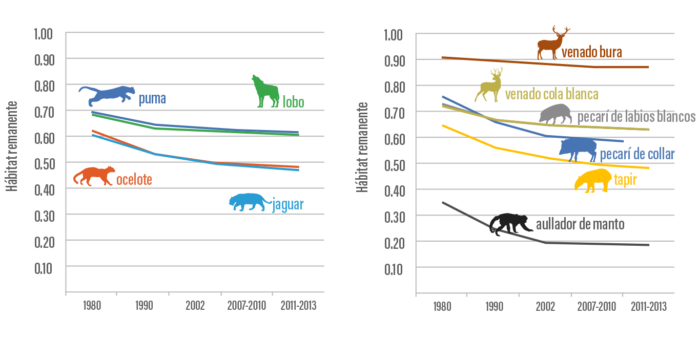Pérdida de hábitat de depredadores y presas de 1980 a 2013