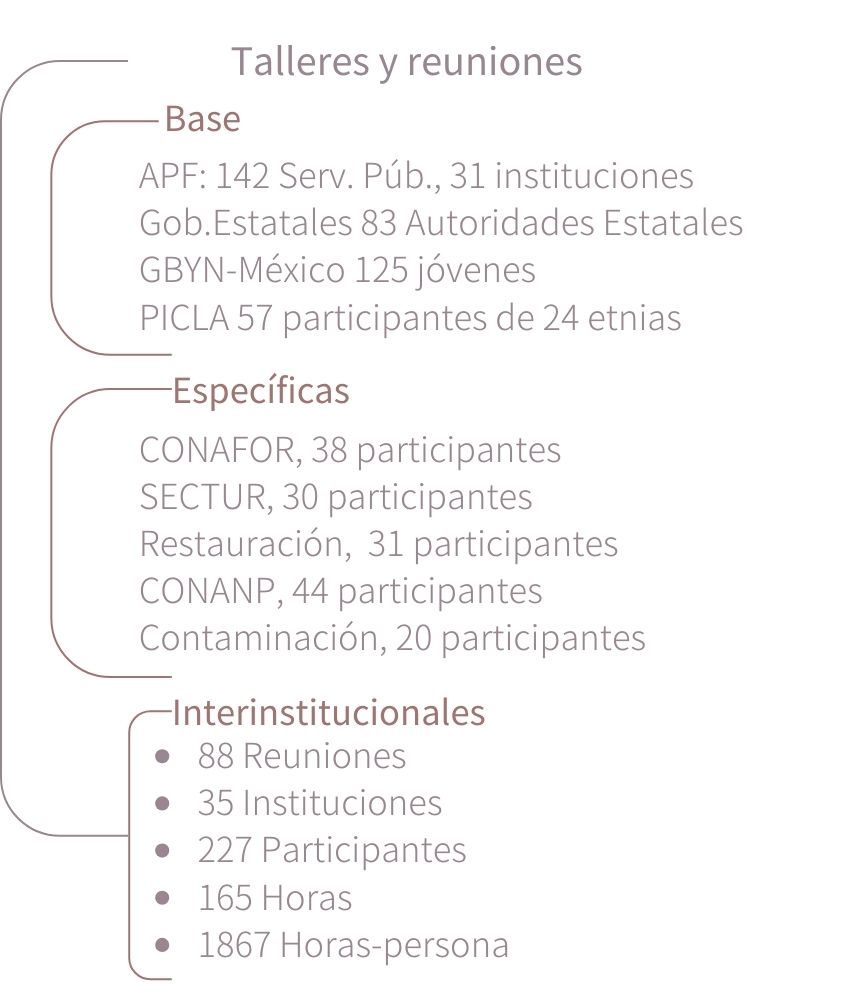 Talleres numeralia