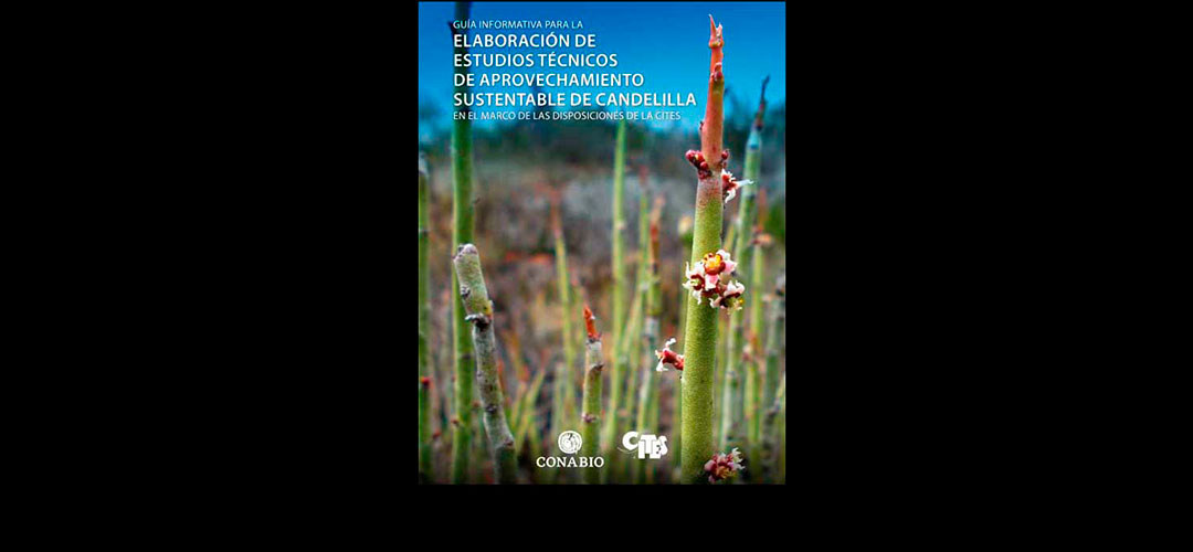 Guía informativa para la elaboración de estudios técnicos de aprovechamiento sustentable de candelilla en el marco de las disposiciones de la CITES