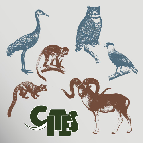 Convención Internacional sobre el Comercio de Especies Amenazadas de Fauna y Flora (CITES)